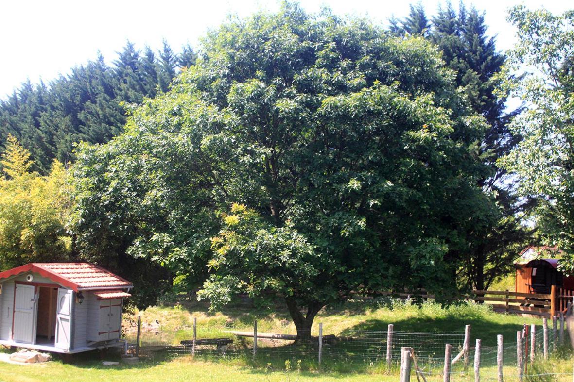 Tente Trappeur Ada, Au Jardin De La Vouivre Saint-Vincent-en-Bresse Kültér fotó