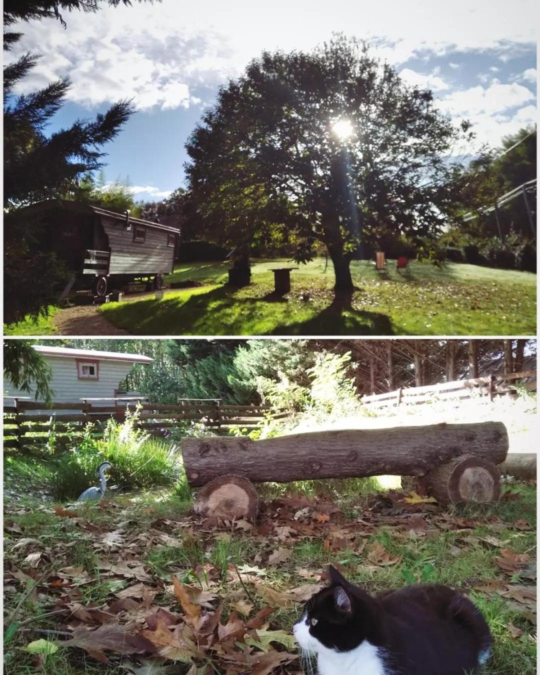 Tente Trappeur Ada, Au Jardin De La Vouivre Saint-Vincent-en-Bresse Kültér fotó