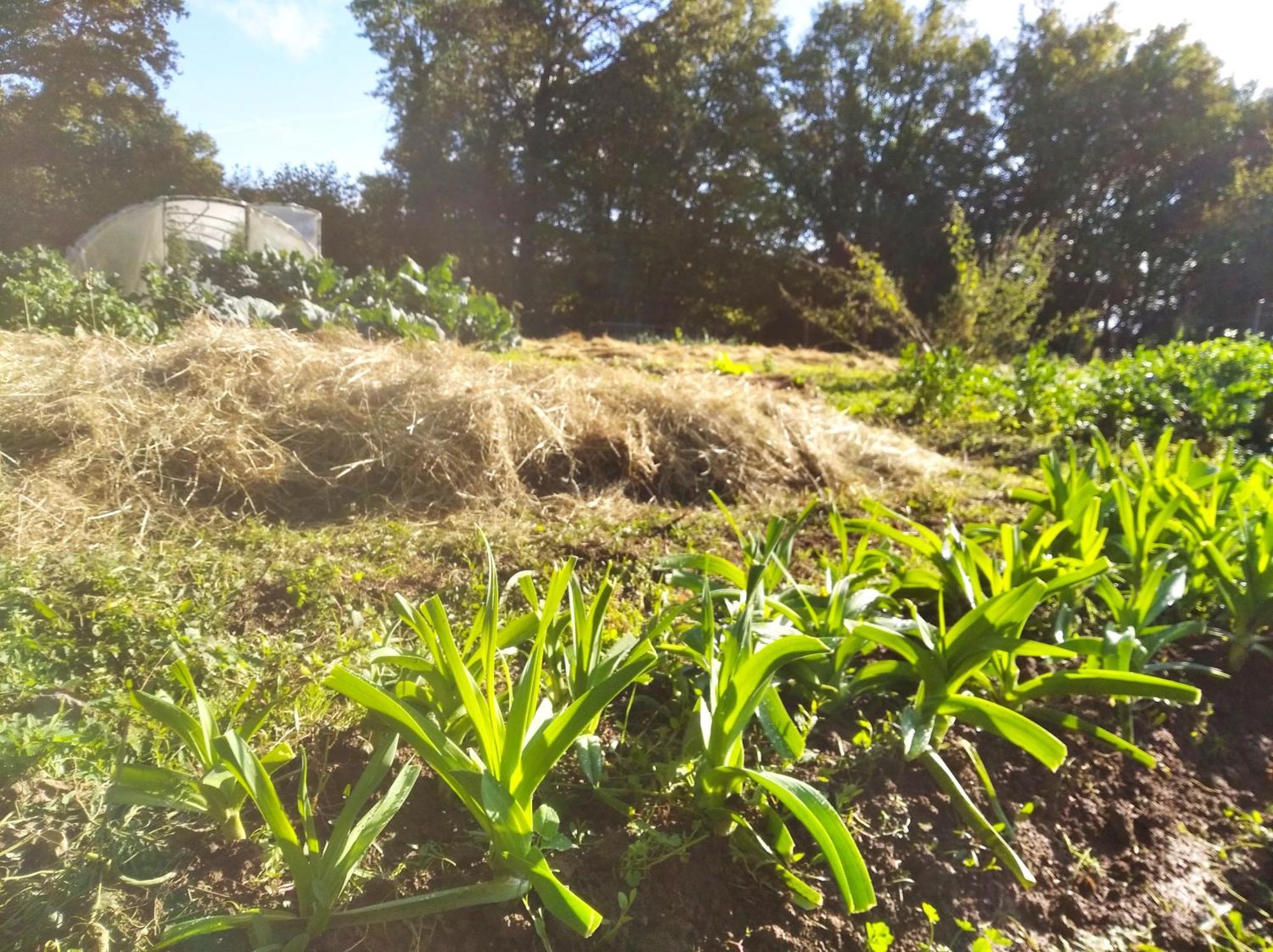 Tente Trappeur Ada, Au Jardin De La Vouivre Saint-Vincent-en-Bresse Kültér fotó