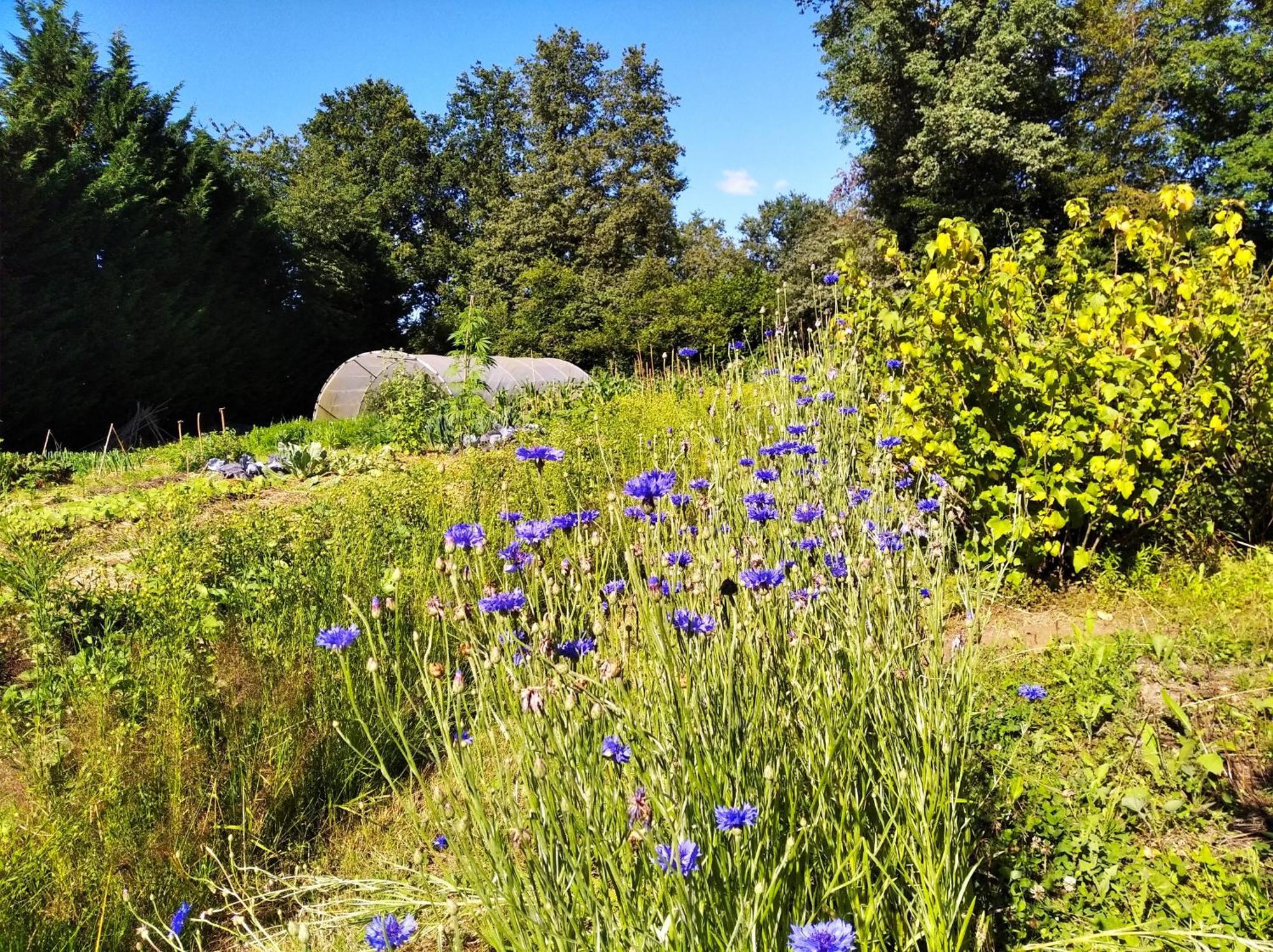 Tente Trappeur Ada, Au Jardin De La Vouivre Saint-Vincent-en-Bresse Kültér fotó