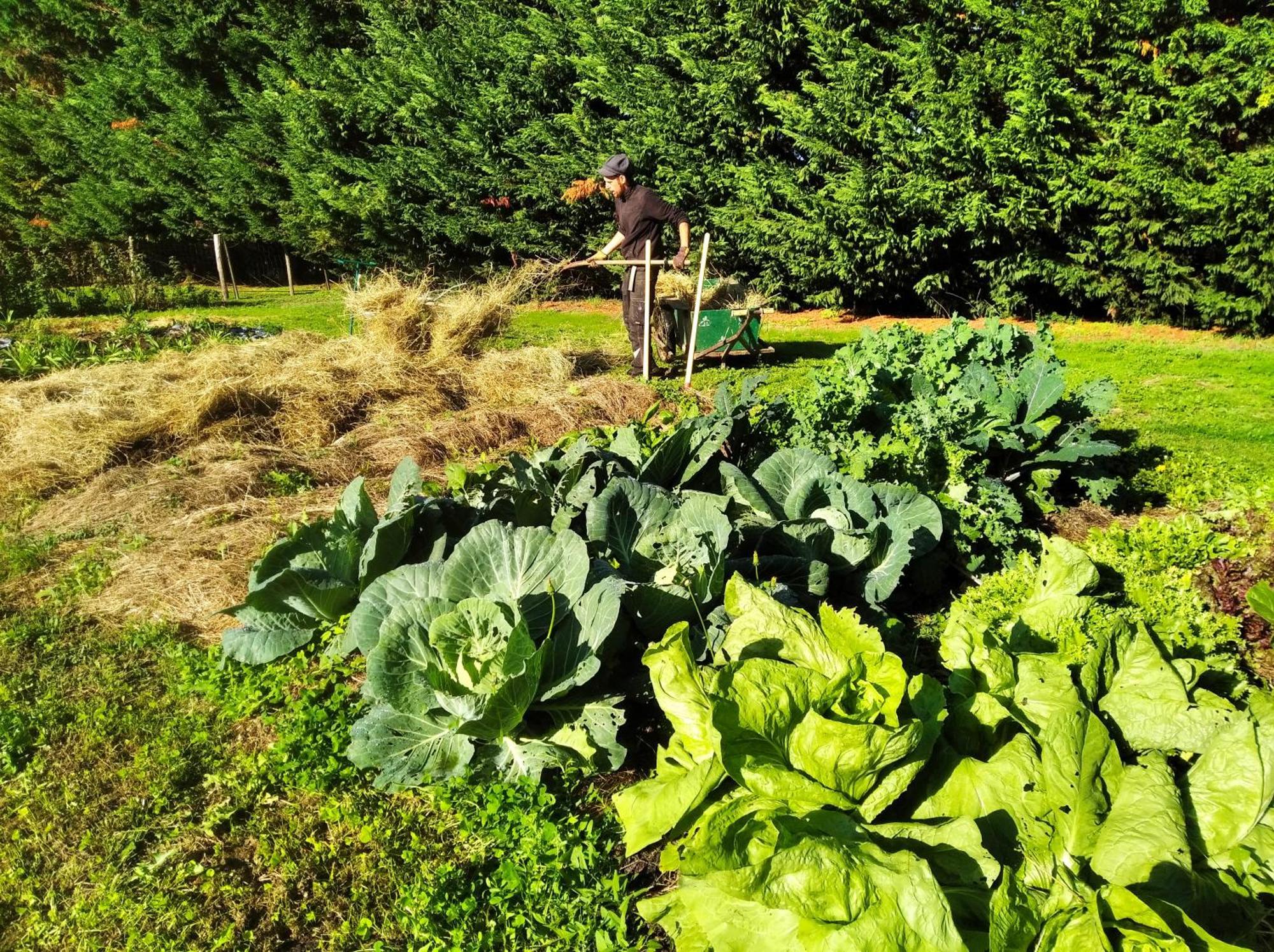 Tente Trappeur Ada, Au Jardin De La Vouivre Saint-Vincent-en-Bresse Kültér fotó