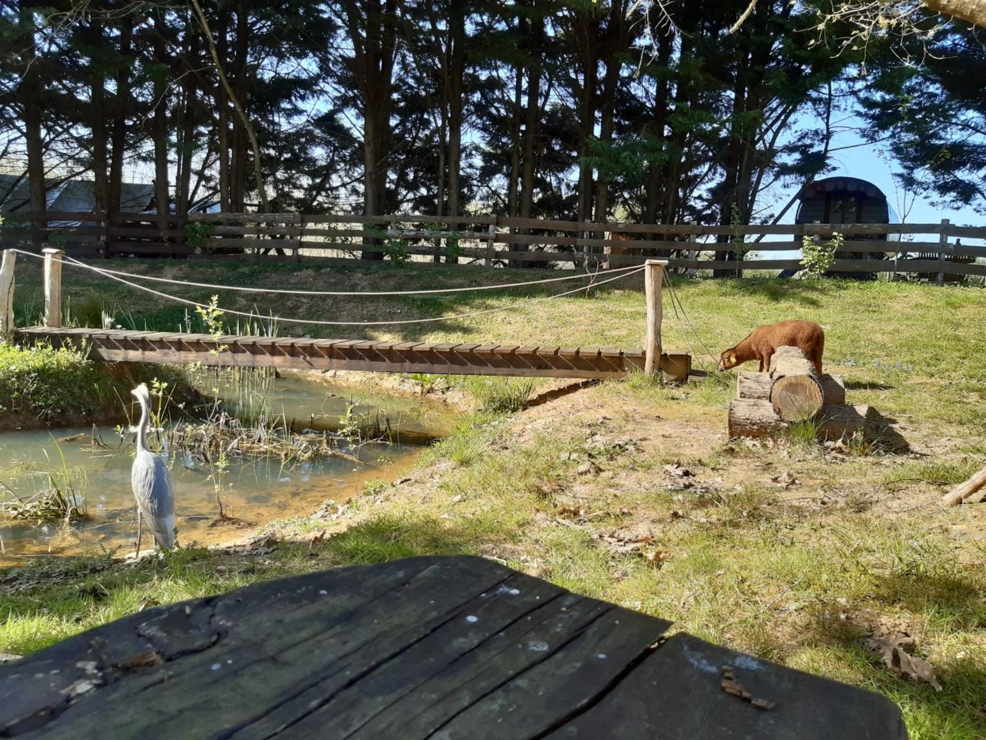 Tente Trappeur Ada, Au Jardin De La Vouivre Saint-Vincent-en-Bresse Kültér fotó
